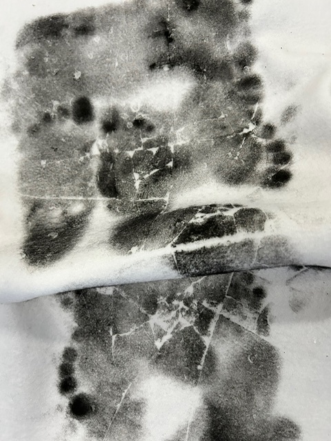 Ghosts and Angels in the Nursery — IMG 1818